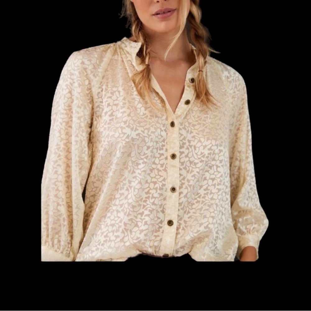 Anthropologie Susanna Velvet Burnout Flowy and Lacy Top
